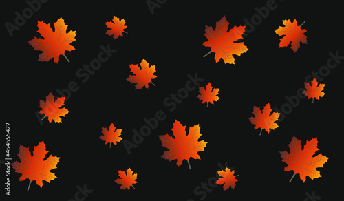 Yellow maple leaves on a black background. Gradient leaves. Fall time. Autumn pattern.