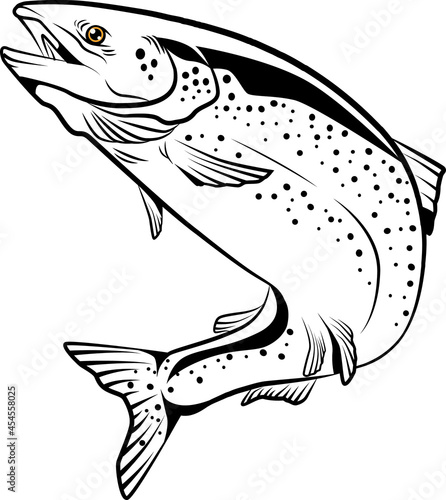 fish on a hook