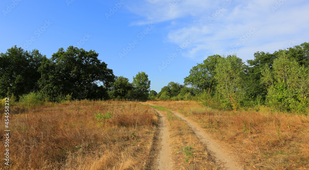 rural road on dry meadow in steppe