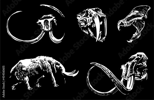 Graphical 3d illustration, skulls of mammoth , tiger and bear and mammoth walking,vector illustration on black
