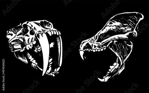 Graphical 3d skull of Smilodon and bear on black background, vector engraved illustration
