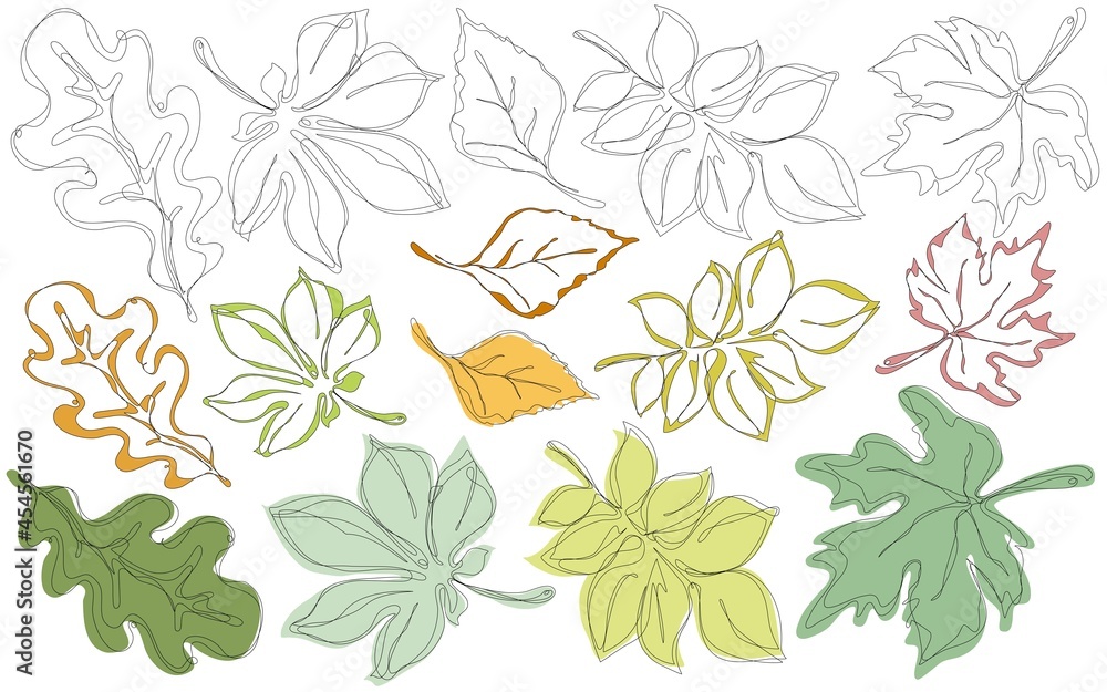 Leaf Shapes. | Flower drawing, Sweet drawings, Drawing tips
