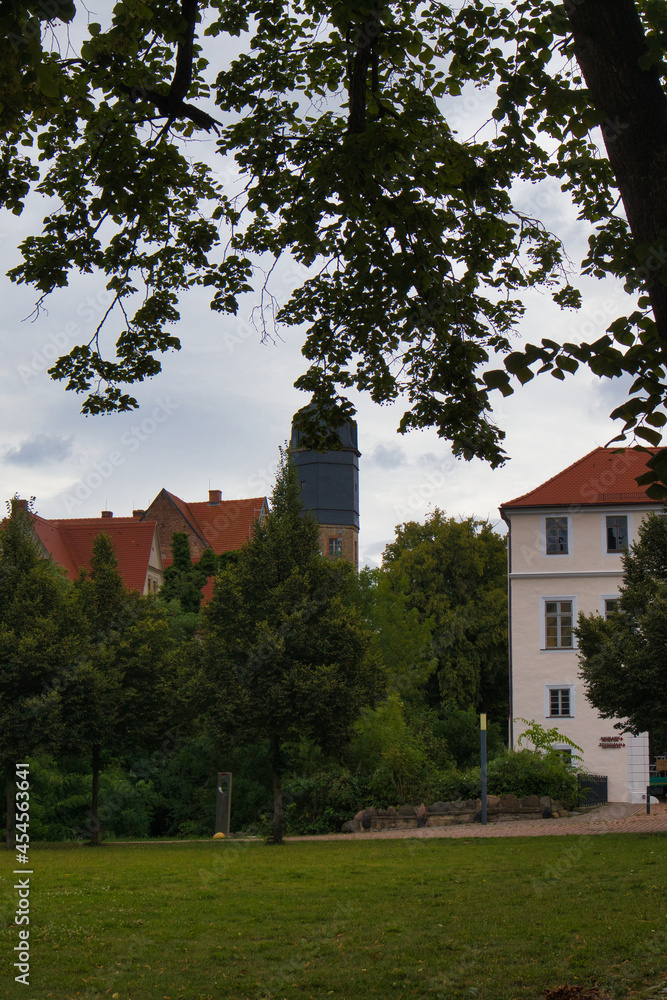 Wiese und Blick auf das Schloss Köthen, Sachsen Anhalt, Deutschland	