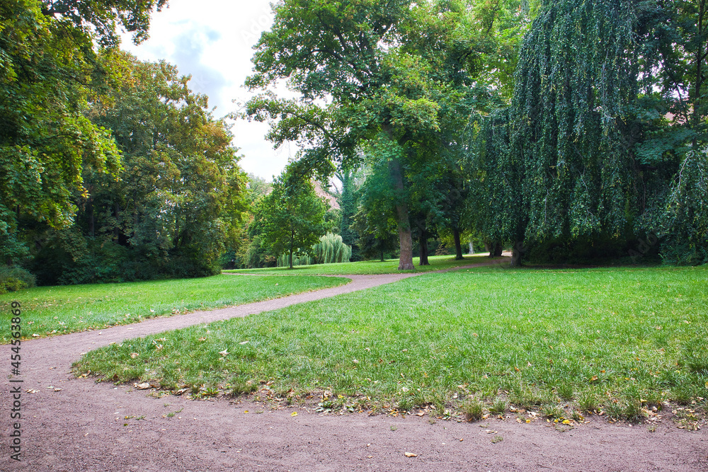 Obraz premium Geschwungener Spazierweg durch eine weitläufige Parklandschaft mit üppigem Baumbestand und grünen Wiesen, Köthen, Landkreis Anhalt-Bitterfeld, Sachsen-Anhalt, Deutschland