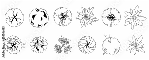 Trees top view. Different uncolored plants and trees vector set for architectural and landscape design. Graphic, isolated on white. Vector illustration. Elements for design projects. Green spaces.