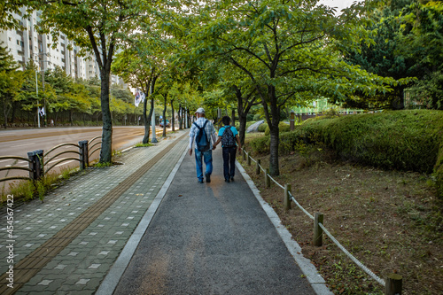 Wallpaper Mural walk in the park Torontodigital.ca