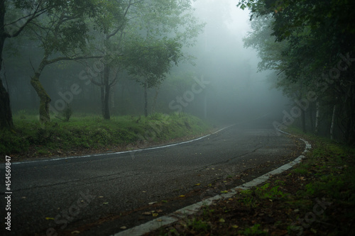 霧に包まれた森林の道路