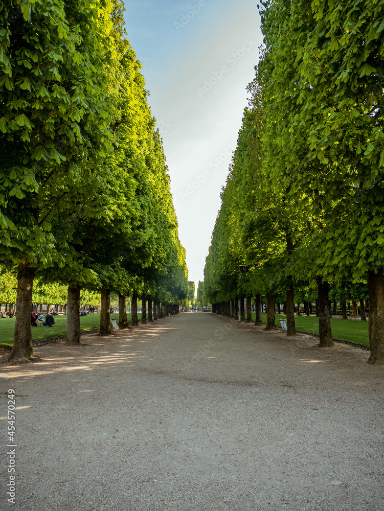 A peaceful tree-lined alley in Luxembourg Garden Paris A peaceful tree-lined alley in Luxembourg Garden Paris