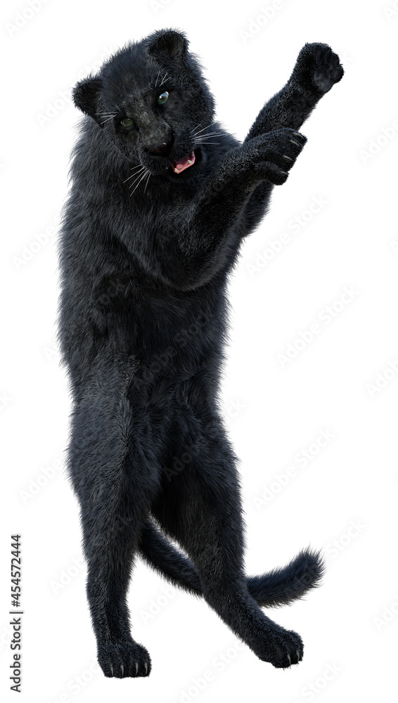 3D Rendering Black Panther on White 3D Rendering Black Panther on White
