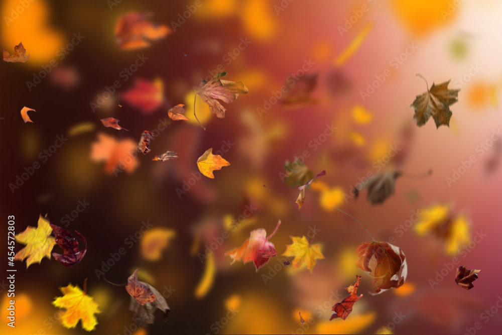 autumn leaves background, autumn leaves in the wind autumn leaves background, autumn leaves in the wind