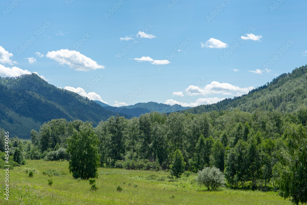 Mountain Altai, Peaks of green mountains and wide meadows