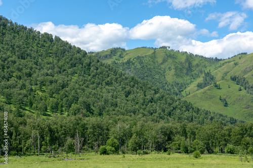 Mountain Altai, Peaks of green mountains and wide meadows