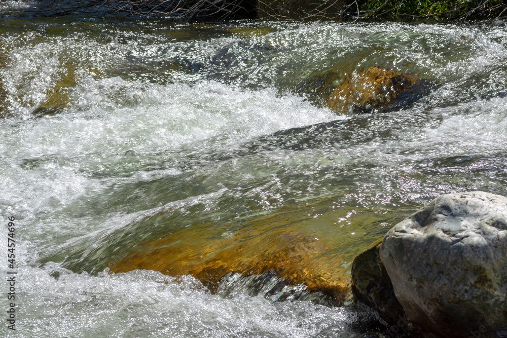 Gorny Altai, Russia. Small but rough mountain river Gorny Altai, Russia. Small but rough mountain river