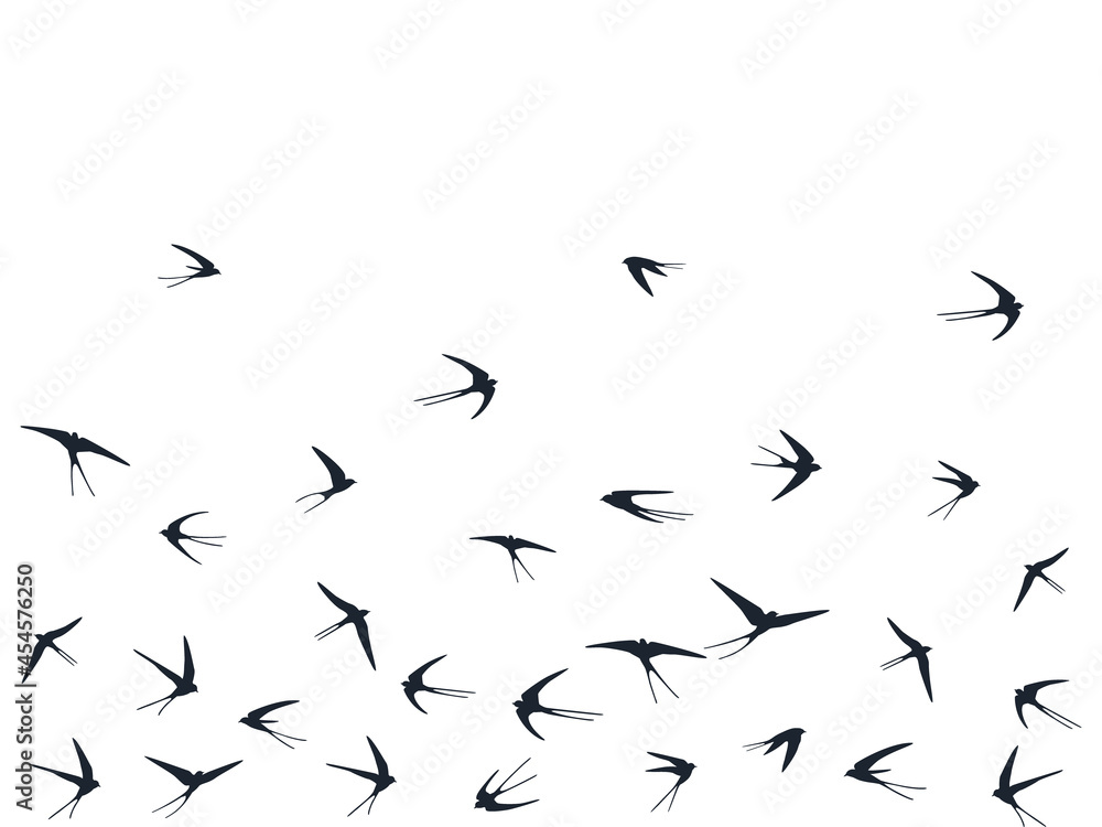 Birds flying vector illustration. Black birds on white background Birds flying vector illustration. Black birds on white background