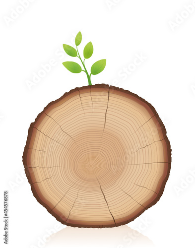 Tree trunk with green sprout - wood slice with young sprig - symbol for comeback, restart, relaunch, triumph, winning, self assertion, beginning.  Vector illustration on white background. 
