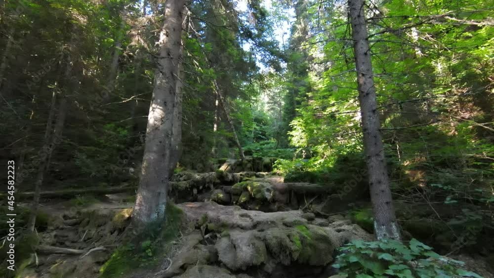 FPV aerial drone shot of dried up river or small mountain creek deep in green forest. Global warming climate change effect. FPV aerial drone shot of dried up river or small mountain creek deep in green forest. Global warming climate change effect.