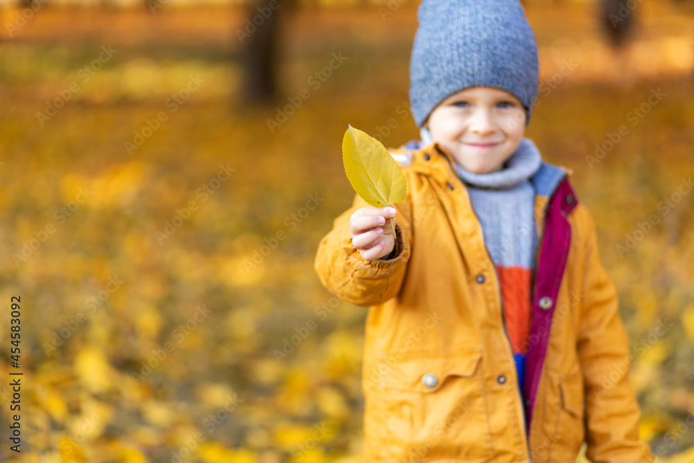 Happy child playing with fallen yellow leaves on a walk in the autumn in the park