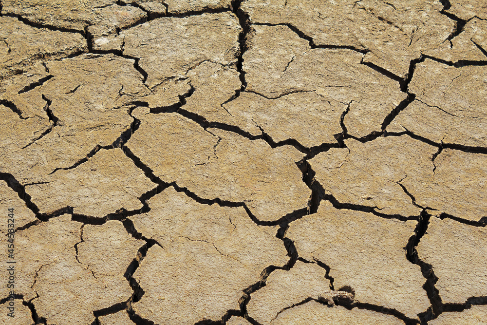 Dried Cracked Clay Textured Desert Surface Dried Cracked Clay Textured Desert Surface