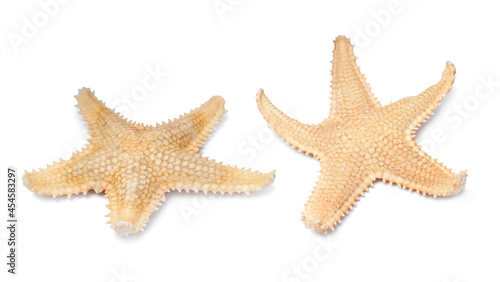 Beautiful sea stars on white background, collage