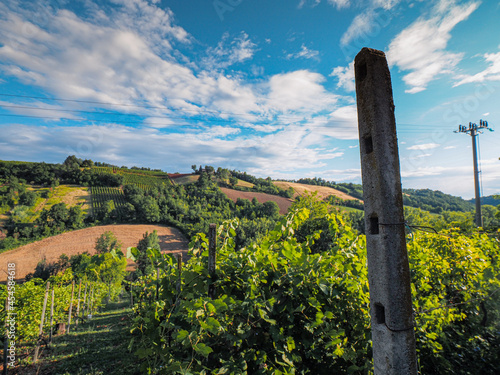 the hills of Martani near Castell'Arquato, Piacenza Italy photo