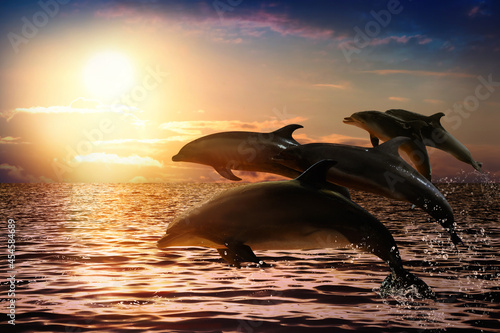 Beautiful bottlenose dolphins jumping out of sea at sunset © New Africa