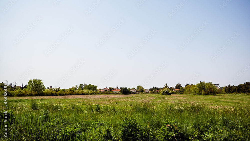 Fototapeta premium Landscape of Provence, France