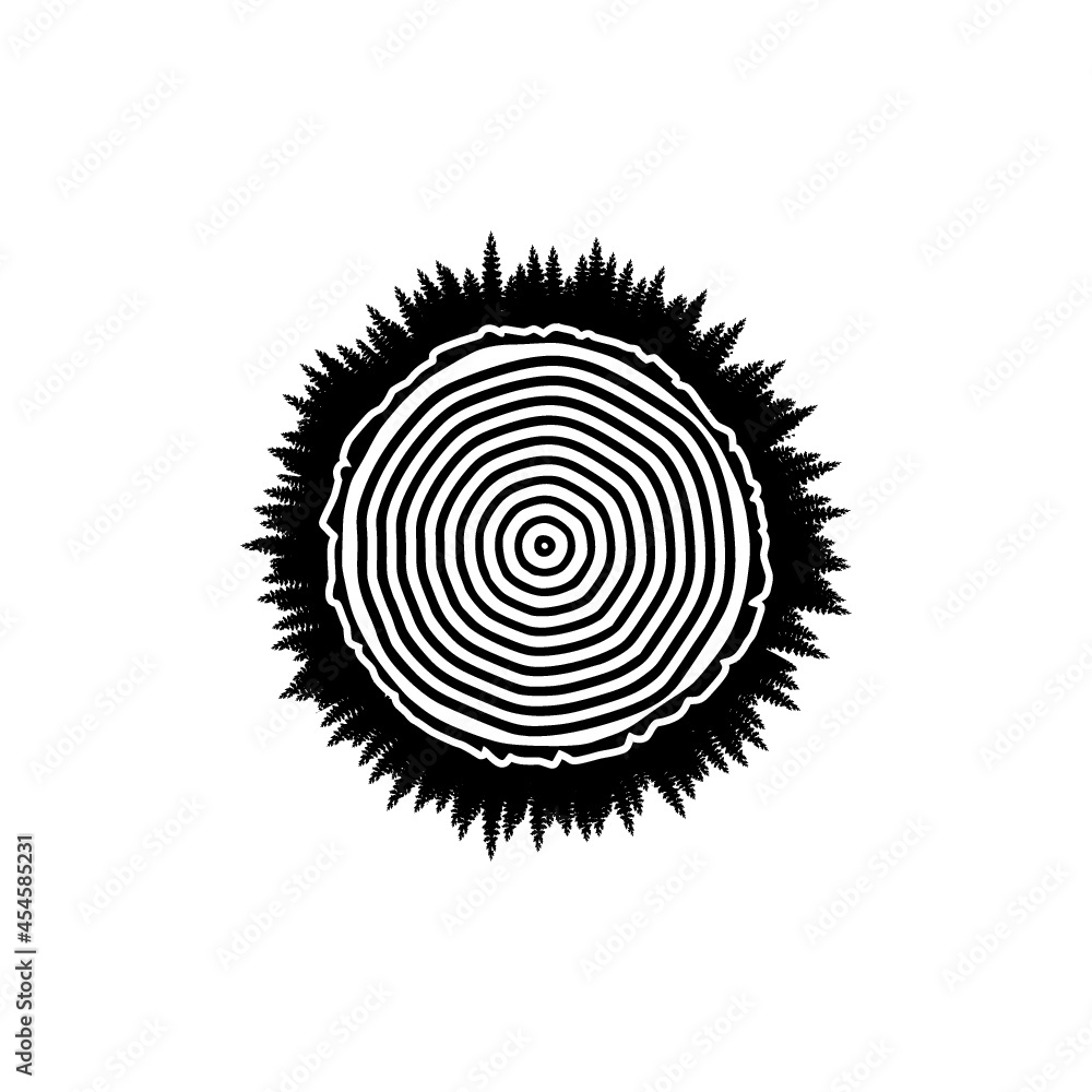 Wood texture rings slice of tree wooden stump isolated on white background Wood texture rings slice of tree wooden stump isolated on white background