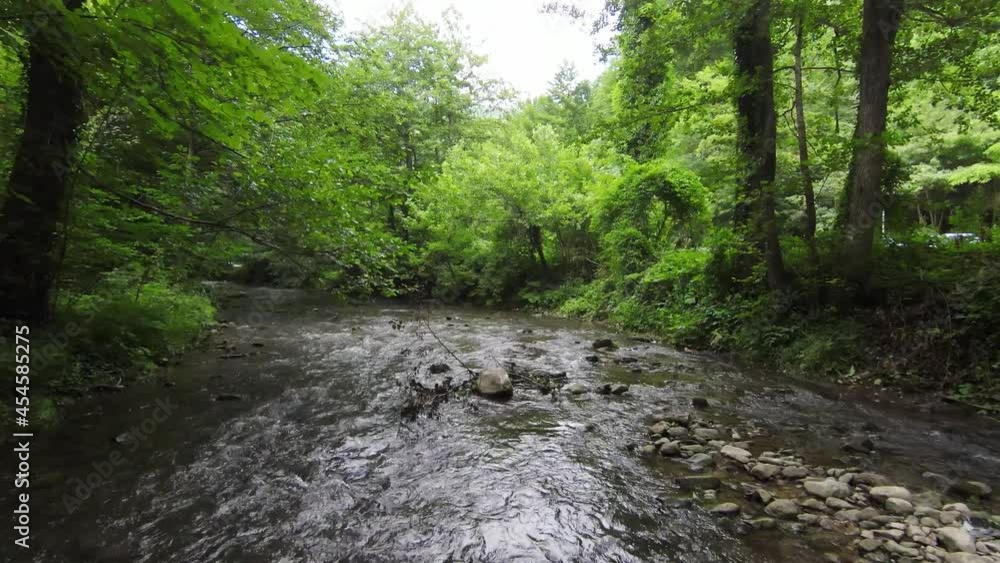 FPV Aerial shot skilled flying at natural landscape river in the dense green forest under trees FPV Aerial shot skilled flying at natural landscape river in the dense green forest under trees