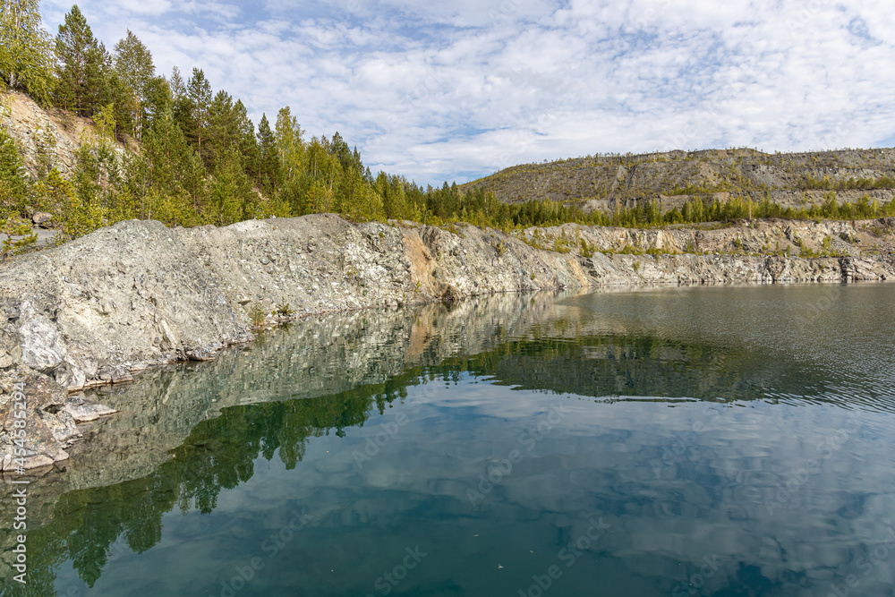 Fototapeta premium Group of small pines are by a lake with blue water in a park in the summer day.