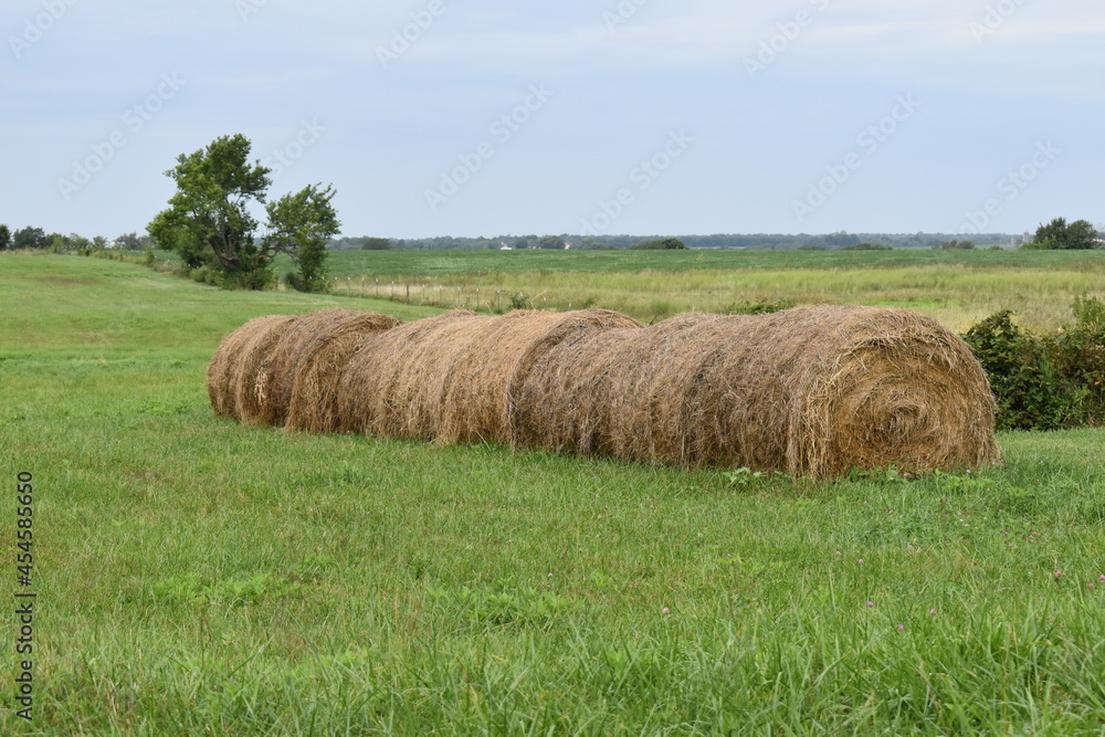 Hay Bales