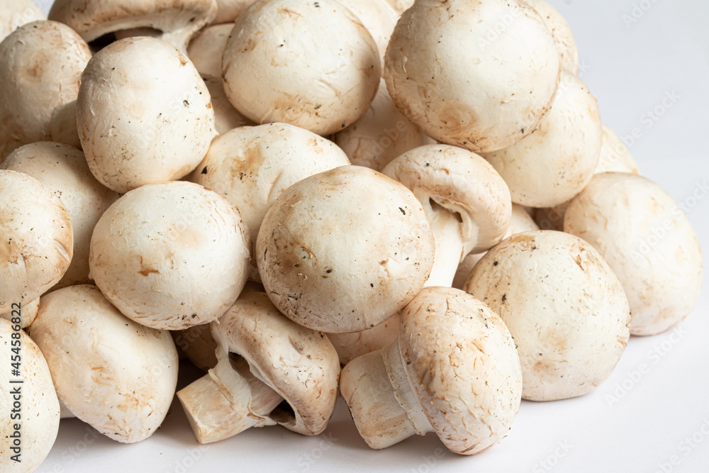 Champignon mushrooms on a light background. Champignon is a genus of lamellar mushrooms of the Champignon family. 