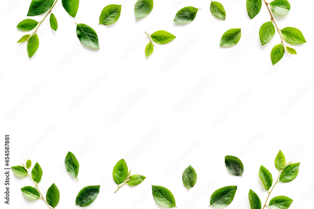 Frame of green leaves and branches on white. Overhead view Frame of green leaves and branches on white. Overhead view