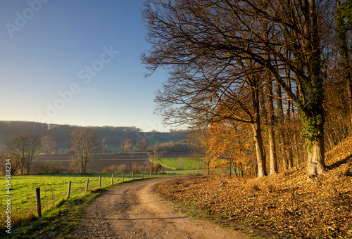 Sandy path close to the Dutch city Maastricht
