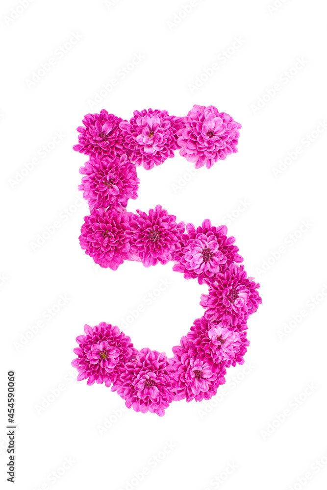 Number five of flowers, figures from pink Chrysanthemum, isolated on white background