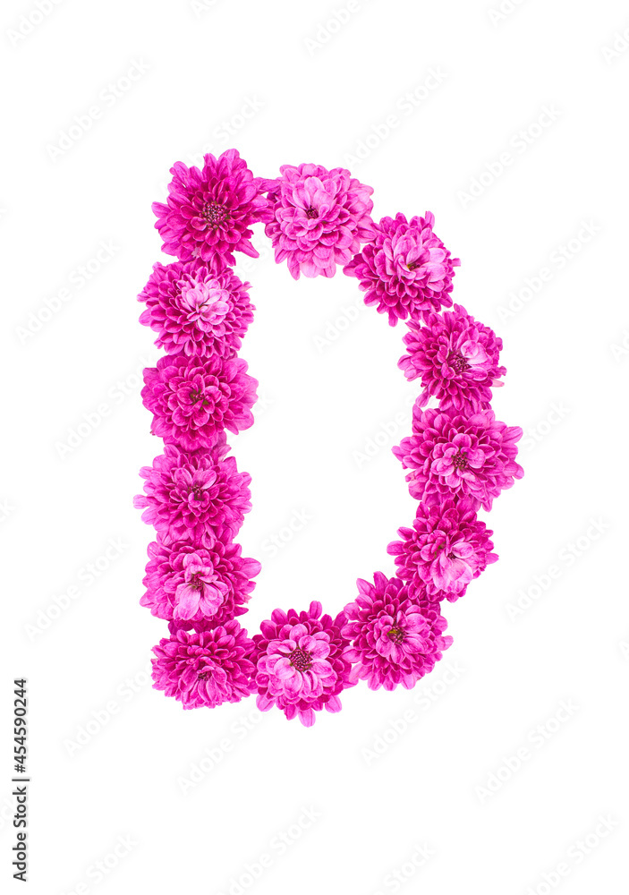 Letter D made of flowers, figures from pink Chrysanthemum, isolated on white background.