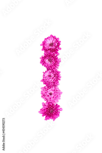 Letter I made of flowers  figures from pink Chrysanthemum  isolated on white background.