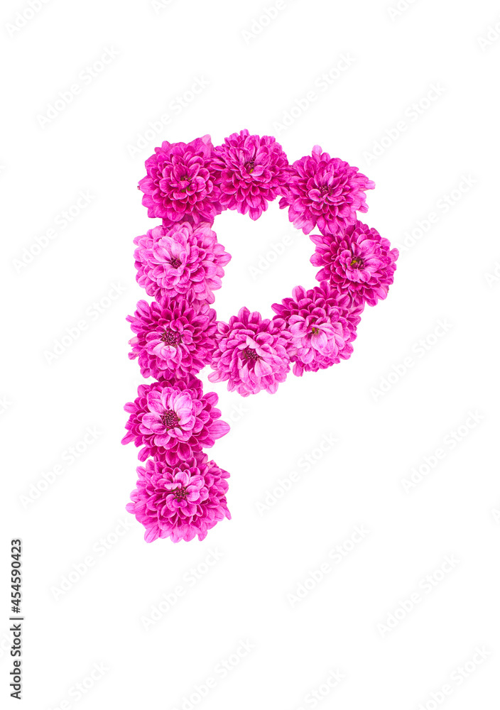 Letter P made of flowers, figures from pink Chrysanthemum, isolated on white background.