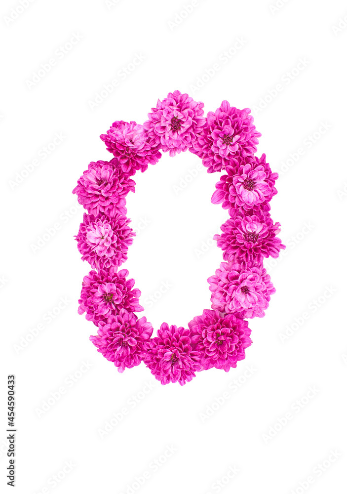 Letter O made of flowers, figures from pink Chrysanthemum, isolated on white background.