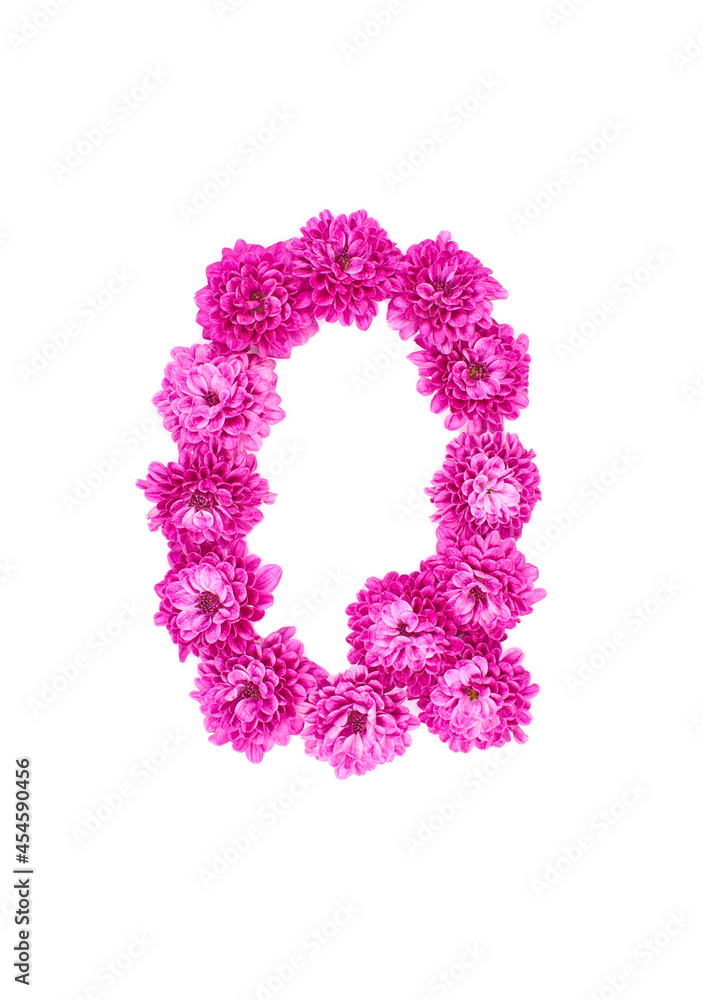 Letter Q made of flowers, figures from pink Chrysanthemum, isolated on white background.