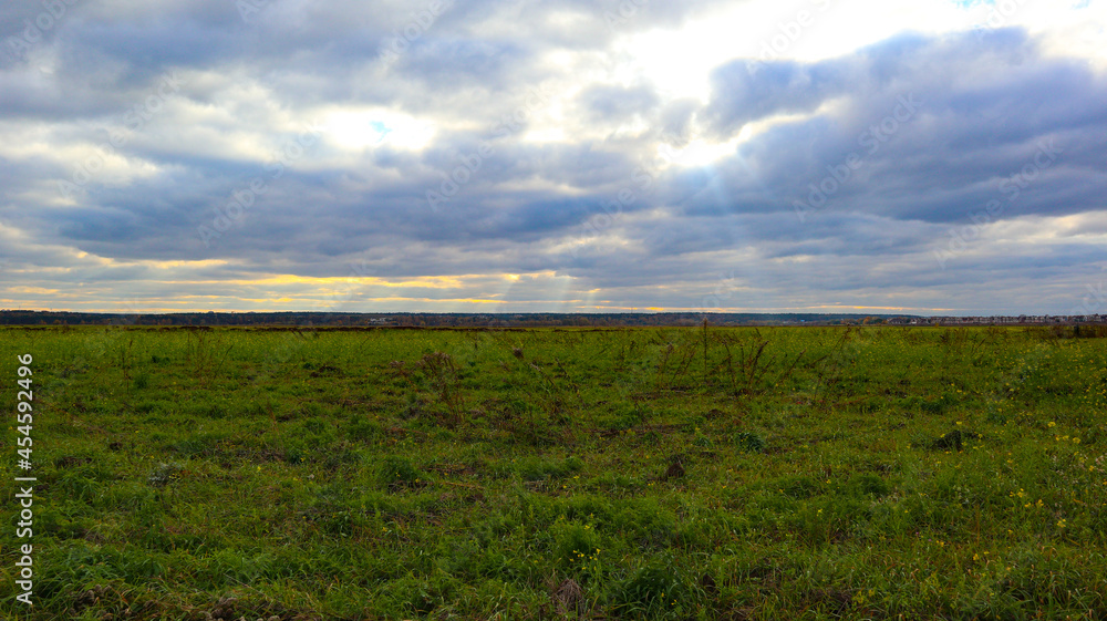 Summer twilight over a field with green grass Summer twilight over a field with green grass