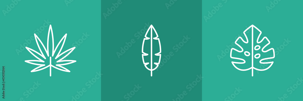 Set of 3 leaves icon on green background Set of 3 leaves icon on green background