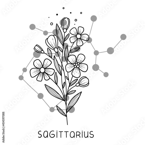 Sagittarius horoscope flower icon outline vector. Zodiac sign astrology