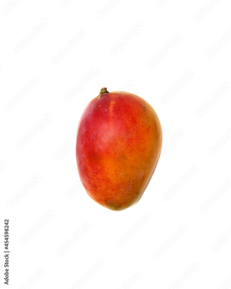 Pink Color Mango Lal Bagh Isolated on White Background Pink Color Mango Lal Bagh Isolated on White Background
