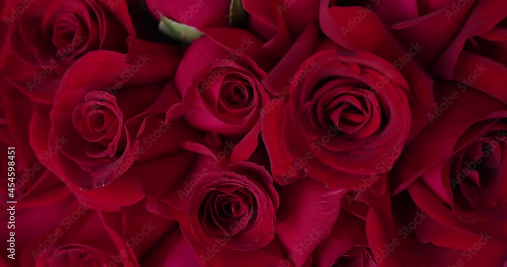 Natural red roses background close up