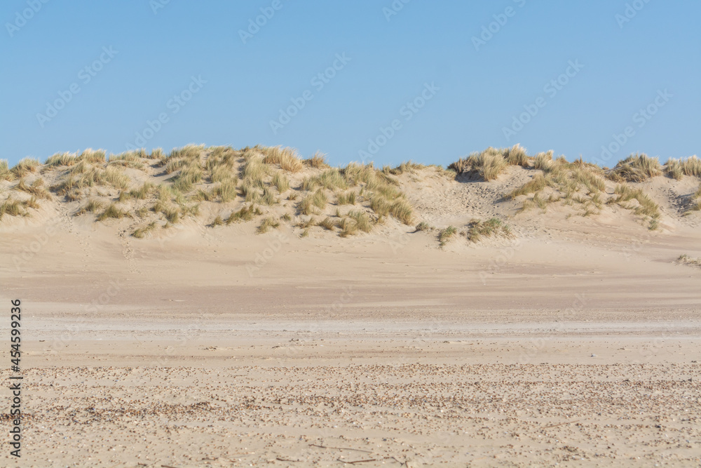 View on white sandy  dunes North sea beach in Renesse, Zeeland, Netherlands