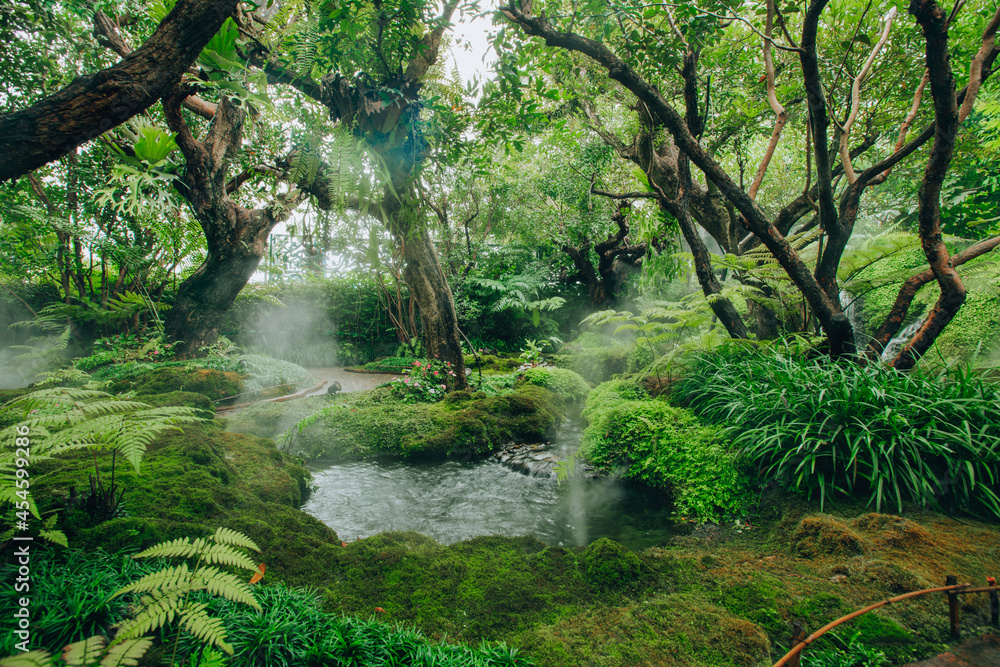 Obraz premium Natural backyard garden relax of landscape photography