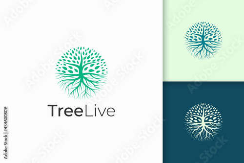 Circle tree logo with root in green color and modern shape