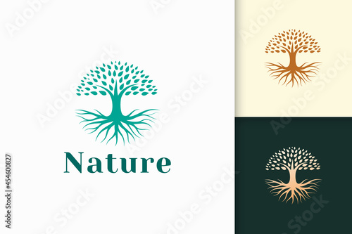 Circle tree logo with root in green color and modern shape