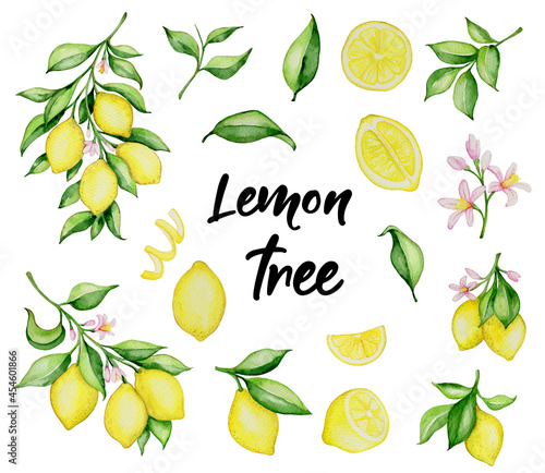 Watercolor lemons and green leaves
