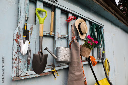 Beautiful plant, gardening tools and accessories on shed wall